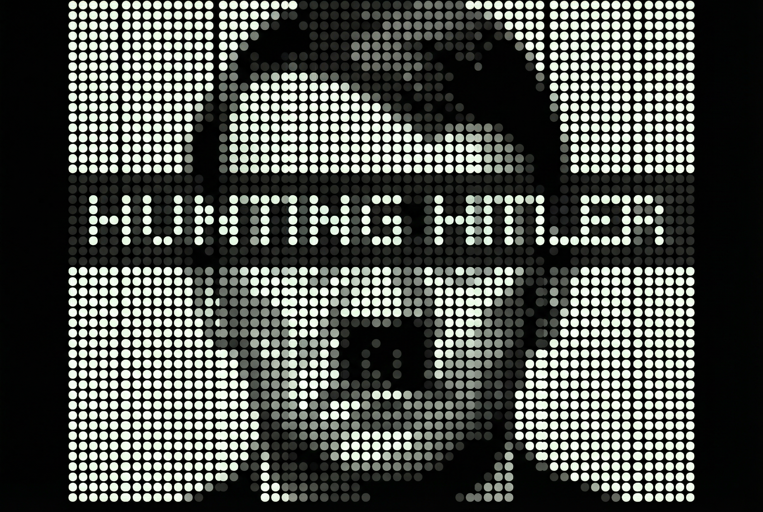 Hunting Hitler